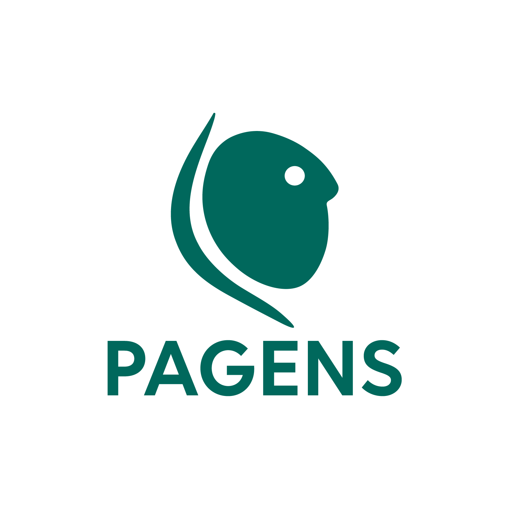 Projet PAGENS