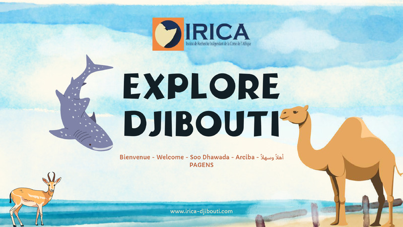 Welcome to Djibouti at IRICA