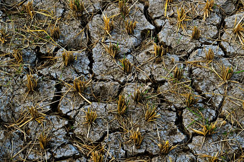 5.2.2 Training through fieldwork : Climate change and mobility