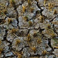 Seminar 3 – WP5 – Programme 5.2.1 Training through fieldwork and visual approach (Climate change and mobility)